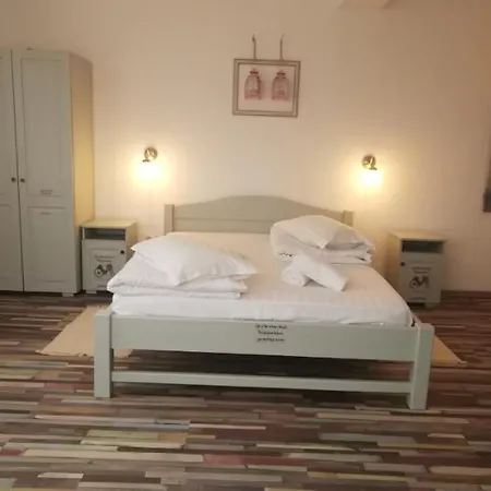 Casa Stefu Guest house *