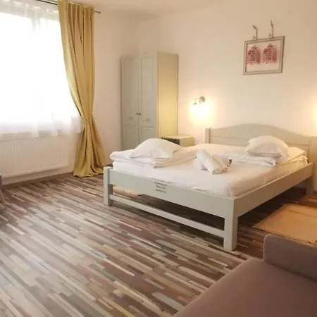 Casa Stefu Guest house Risnov