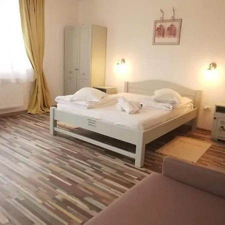 Casa Stefu Guest house Risnov
