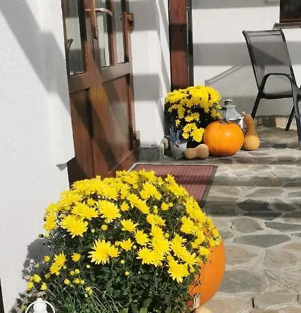 Guest house Casa Stefu *