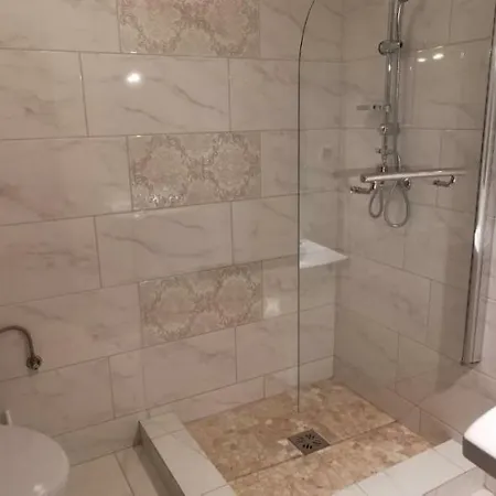 Casa Stefu Guest house Risnov